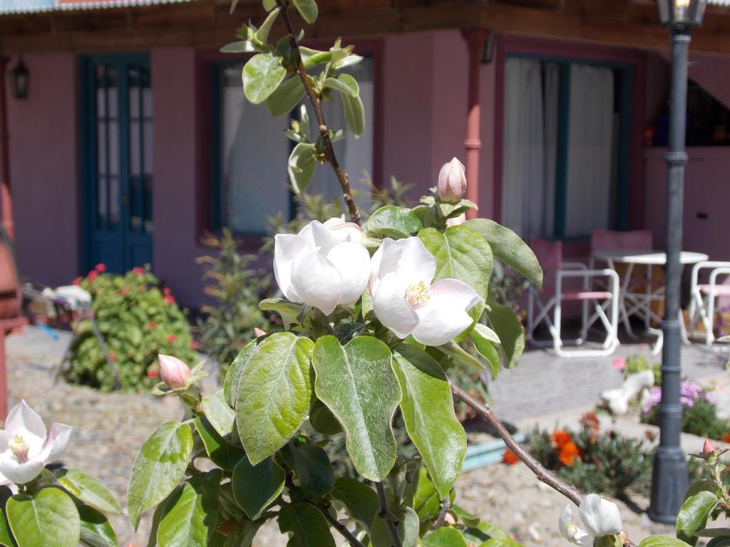 Posada Caracoles Puerto Pirámides المظهر الخارجي الصورة