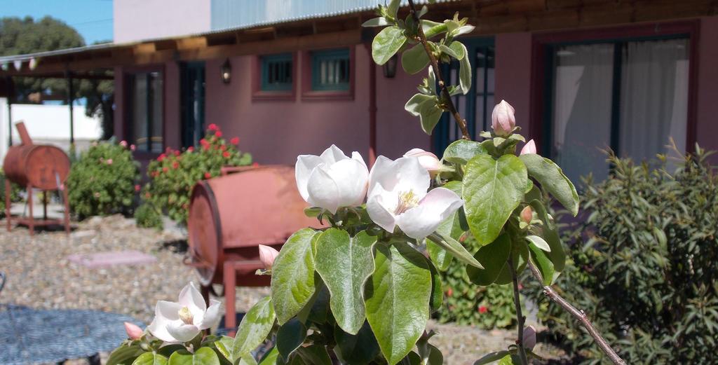 Posada Caracoles Puerto Pirámides الغرفة الصورة